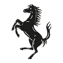 RACE logo