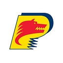 SNP.RO logo
