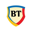 TLV.RO logo